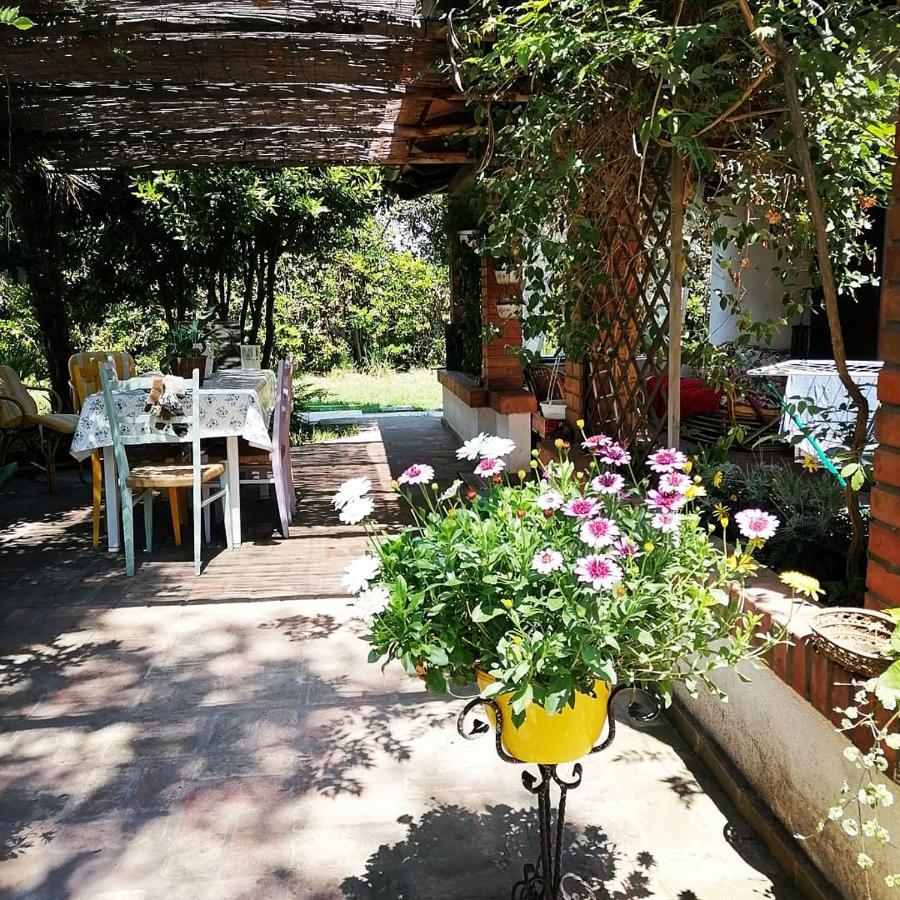 La Bricola Cavallino-Treporti Exterior foto